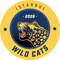 Istanbul Wildcats (VALORANT)